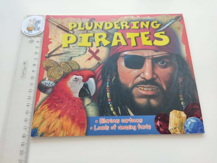 Plundering Pirates