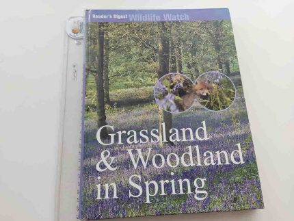Grassland and Woodland in Spring