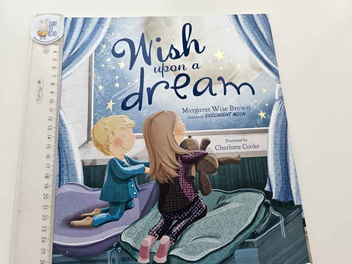 Wish Upon A Dream