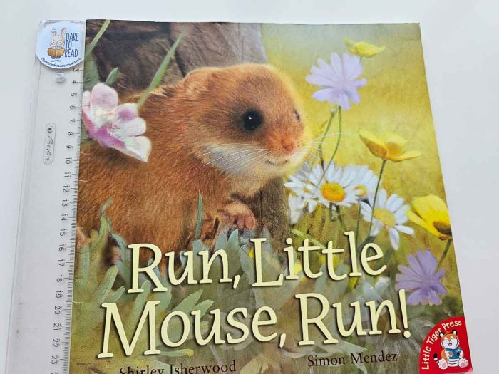 Run, Little Mouse, Run!