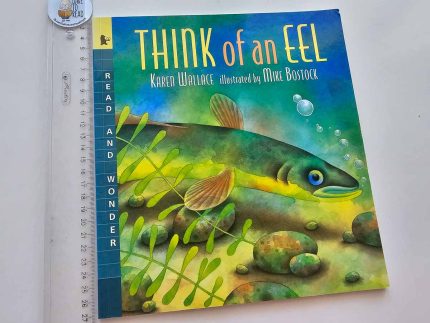 Think of an Eel