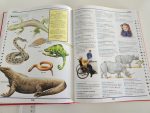 The Junior Illustrated Dictionary & Thesaurus - imagine 2