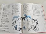 The Junior Illustrated Dictionary & Thesaurus - imagine 4