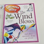 I Wonder Why... The Wind Blows