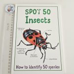 Spot 50 Insects