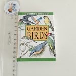 Garden Birds