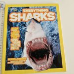 Everything Sharks