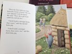 Ladybird Set - imagine 3