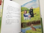 Ladybird Set - imagine 6