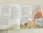 The Lion Storyteller Bible - imagine 2