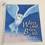 White Owl, Barn Owl