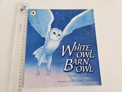 White Owl, Barn Owl