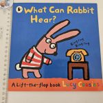 What Can Rabbit Hear?