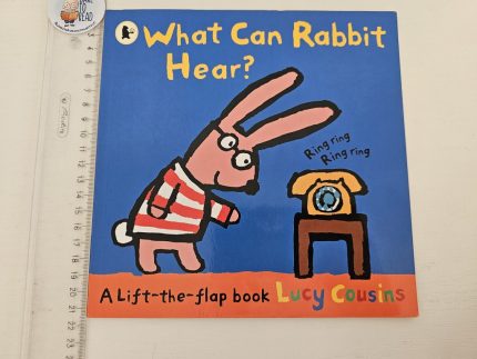 What Can Rabbit Hear?