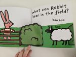 What Can Rabbit Hear? - imagine 3
