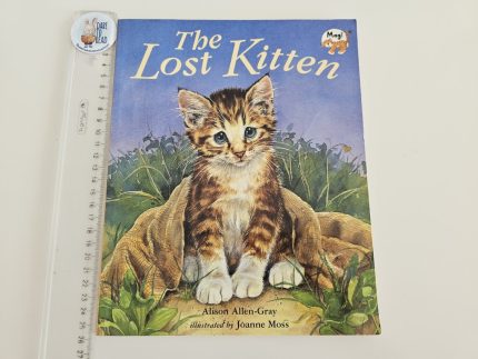 The Lost Kitten