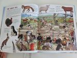 Farm Animals - imagine 3