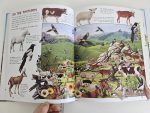 Farm Animals - imagine 4
