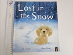 Lost in the Snow