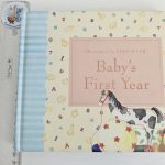 Baby's First Year
