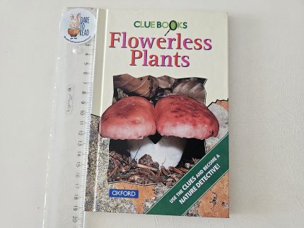 Flowerless Plants