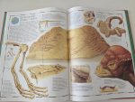 Great Dinosaur Atlas - imagine 4