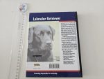 Labrador Retriever - imagine 4