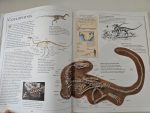 The Ultimate Dinosaur Book - imagine 3