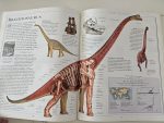 The Ultimate Dinosaur Book - imagine 6