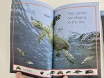 Set DK Readers - imagine 2