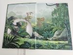 The Jungle Book - imagine 3