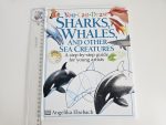 You can Draw Sharks, Whales and other Sea Creatures