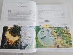 The Children's Illustrated Bible - imagine 4