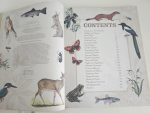 Wild Animals - imagine 2