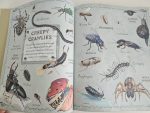 Wild Animals - imagine 3