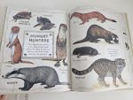Wild Animals - imagine 6