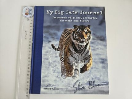 My Big Cats Journal