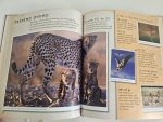 My Big Cats Journal - imagine 3