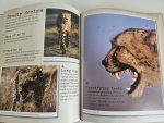 My Big Cats Journal - imagine 4