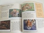My Big Cats Journal - imagine 5