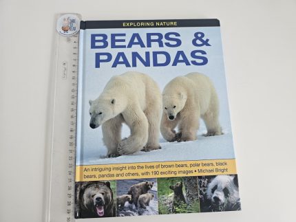 Bears & Pandas