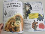 Why do chimps kiss? - imagine 2