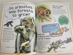 Why do chimps kiss? - imagine 3
