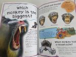 Why do chimps kiss? - imagine 4