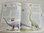 100 Questions and Answers - Dinosaurs and Other Prehistoric Animals - imagine 2