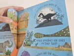 Usborne Lift-the-Flap - Questions and Answers about Dinosaurs - imagine 4