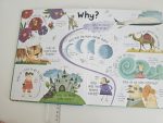 Usborne Lift-the-Flap - Questions and Answers - imagine 4