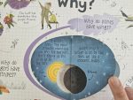 Usborne Lift-the-Flap - Questions and Answers - imagine 5