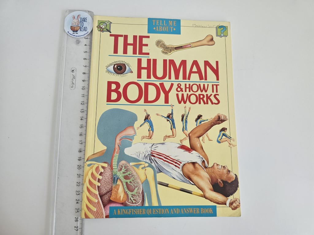 20260606_175439 The Human Body and How it Works - imagine 1
