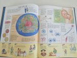 Knowledge Masters - How Your Body Works - imagine 3